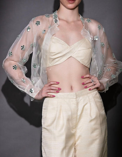 Beige Organza Shirt Co-Ord Set